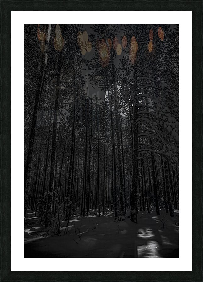 NIGHTWOODS Picture Frame print