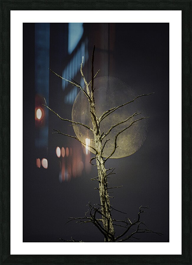 JBS 0997 Picture Frame print