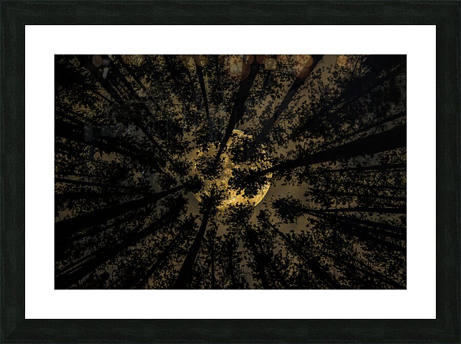 JBS 5549  Picture Frame print