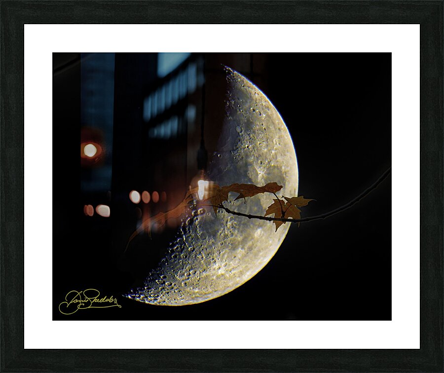 JBS 3686  Picture Frame print