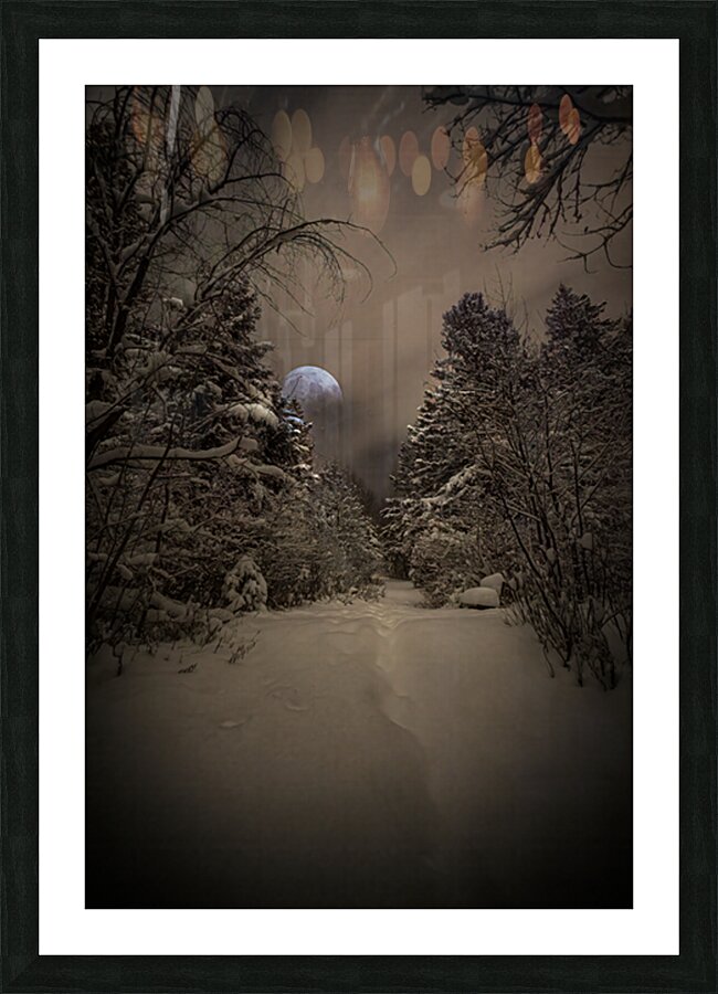 Z62 0235 2  Picture Frame print