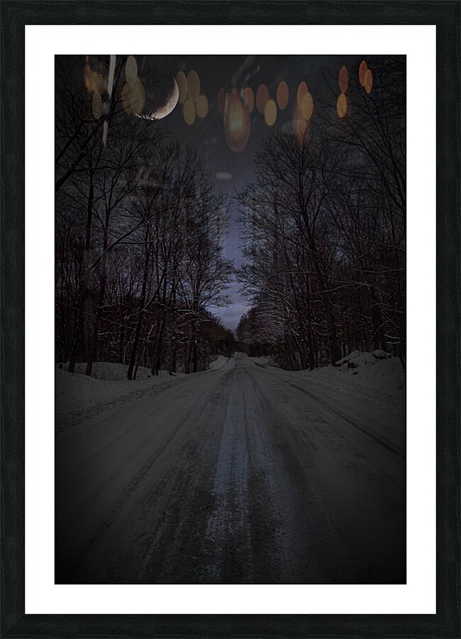 ZJS 6317  Picture Frame print