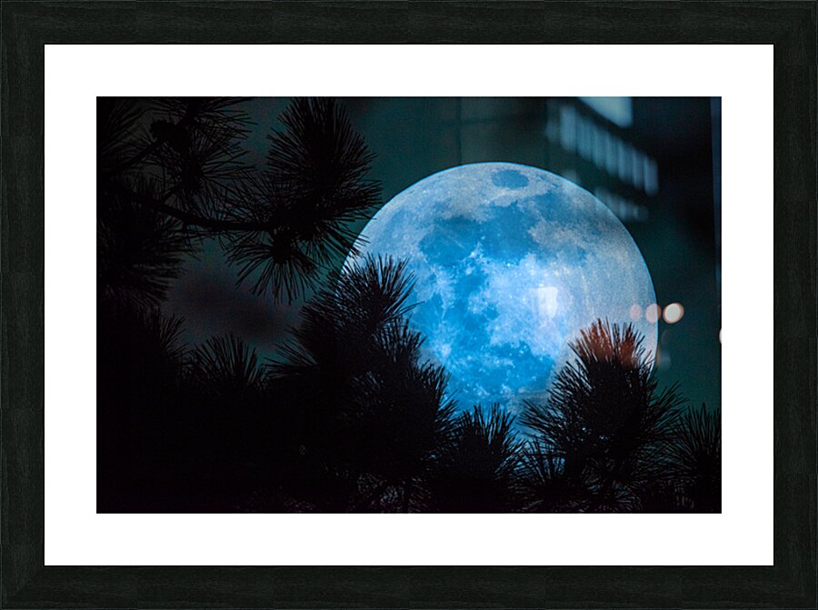 JBS 0093  Picture Frame print