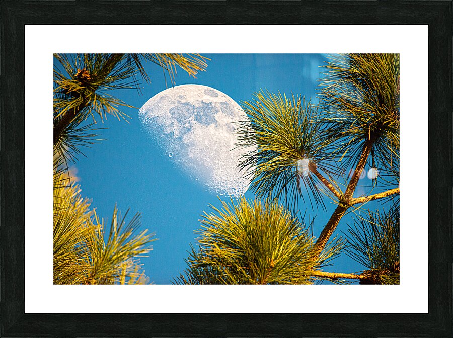 JBS 9958  Picture Frame print