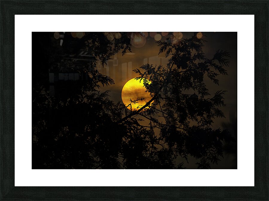 JBS 3573  Picture Frame print