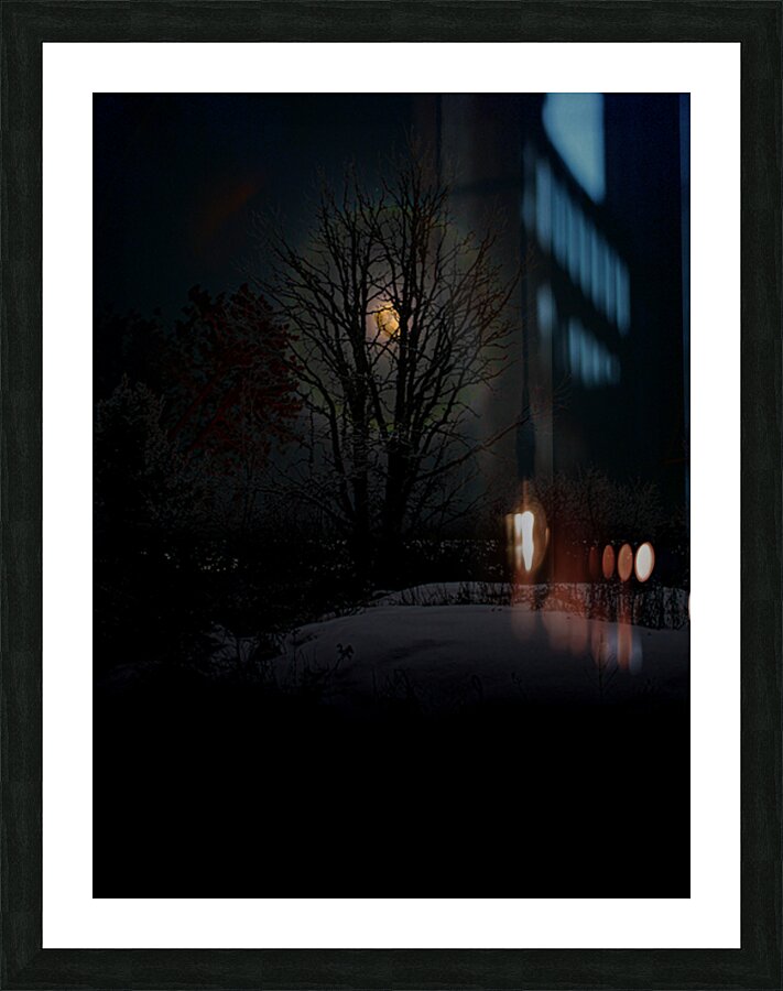 JBS 8045 Picture Frame print