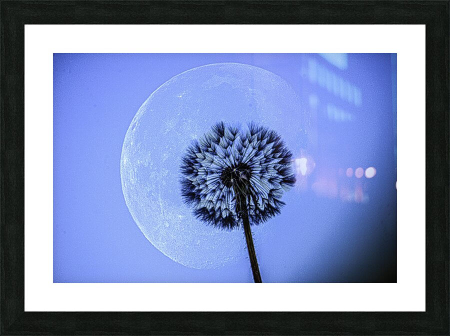 JBS 1373  Picture Frame print