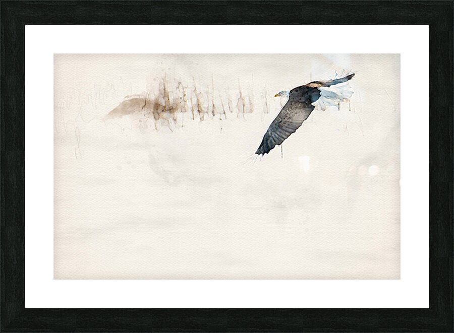 JBS 8846wc Picture Frame print