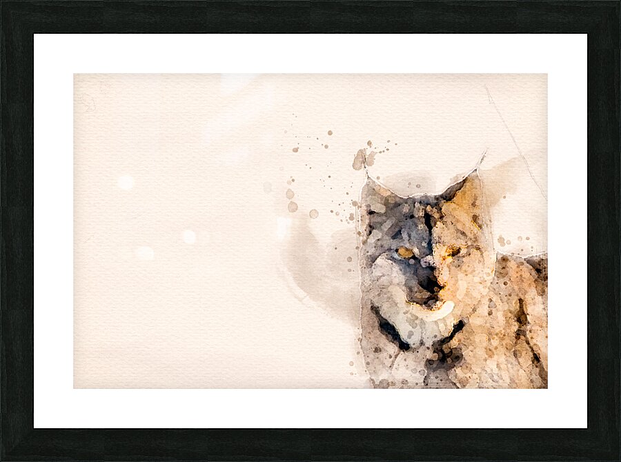 JBS 8771  Picture Frame print