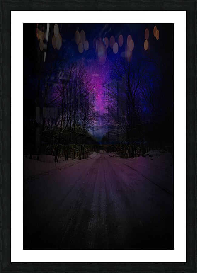 ZJS 6317  Picture Frame print