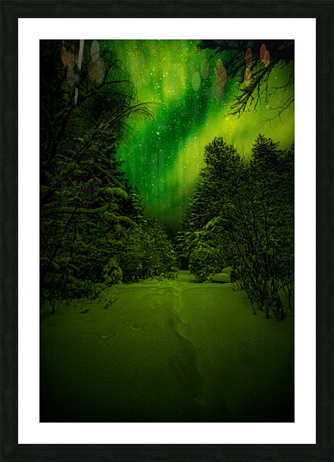 Z62 0234 2  Picture Frame print