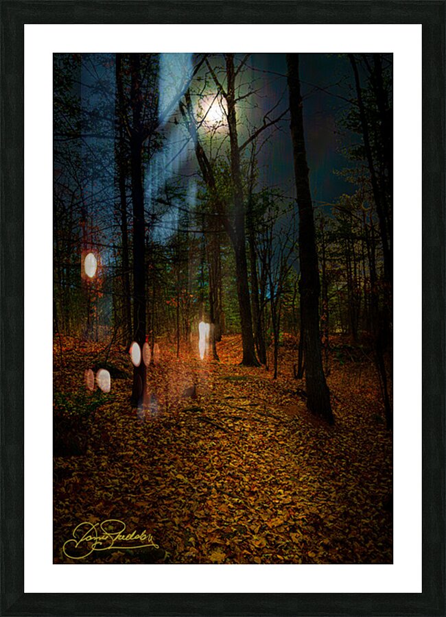 DSC 3665 1 Picture Frame print