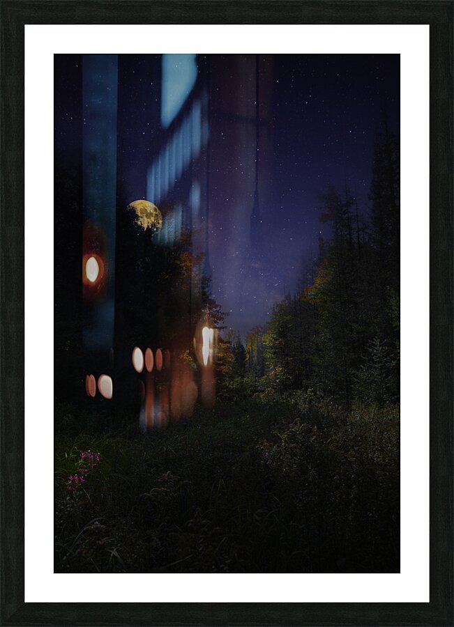 DSC 5763  Picture Frame print