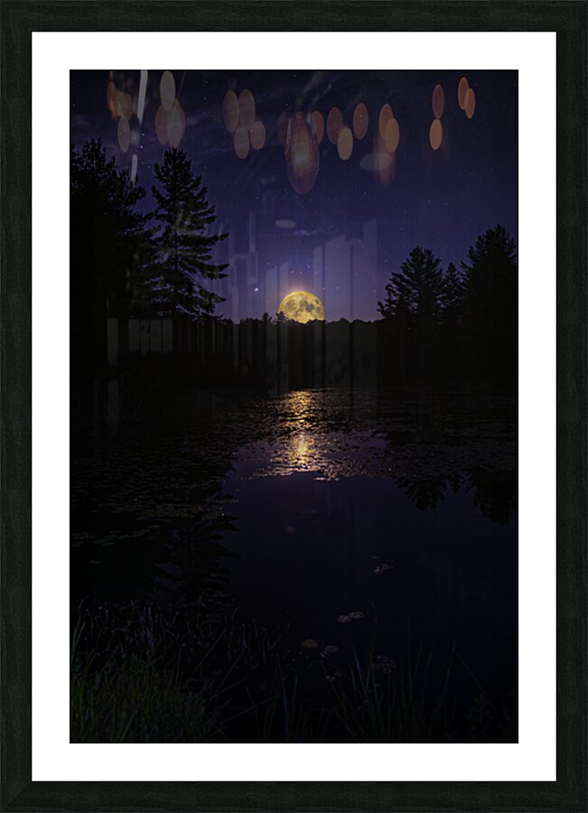 DSC 5746  Picture Frame print