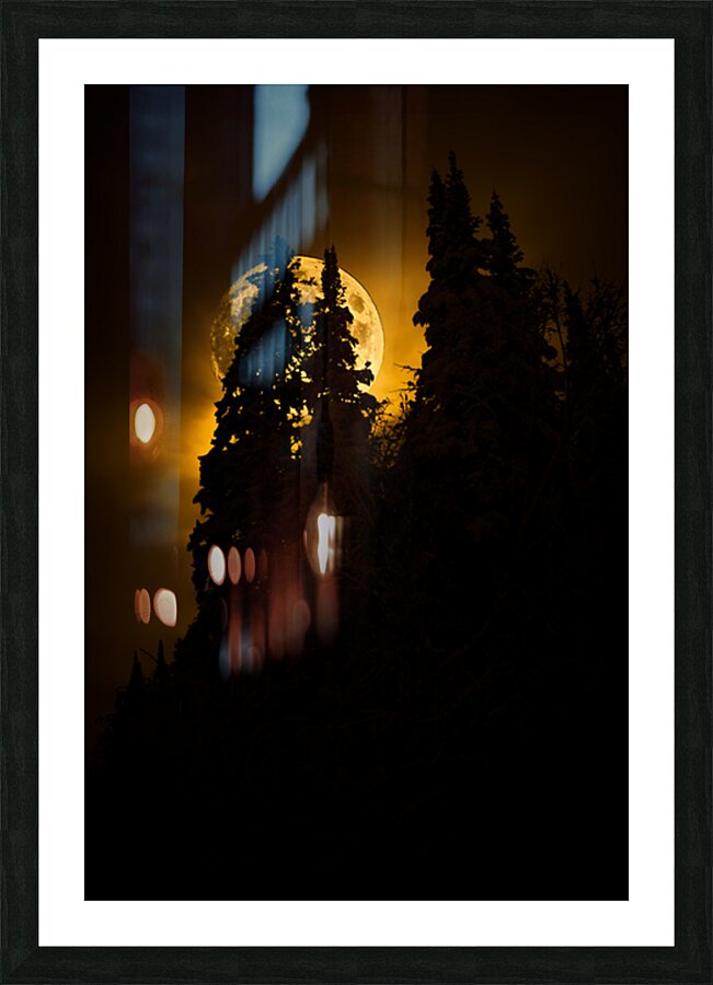 CRC 0731 Picture Frame print