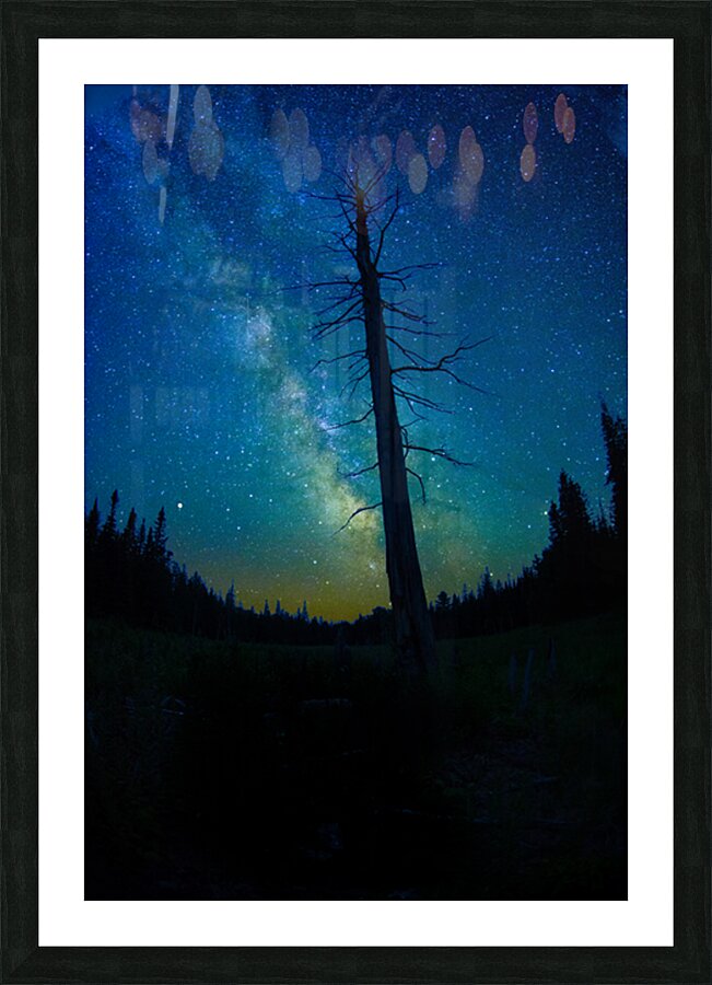 CRC 1662 Picture Frame print