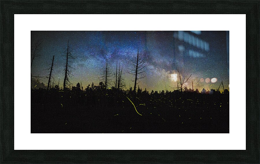 JBS 1455 Picture Frame print