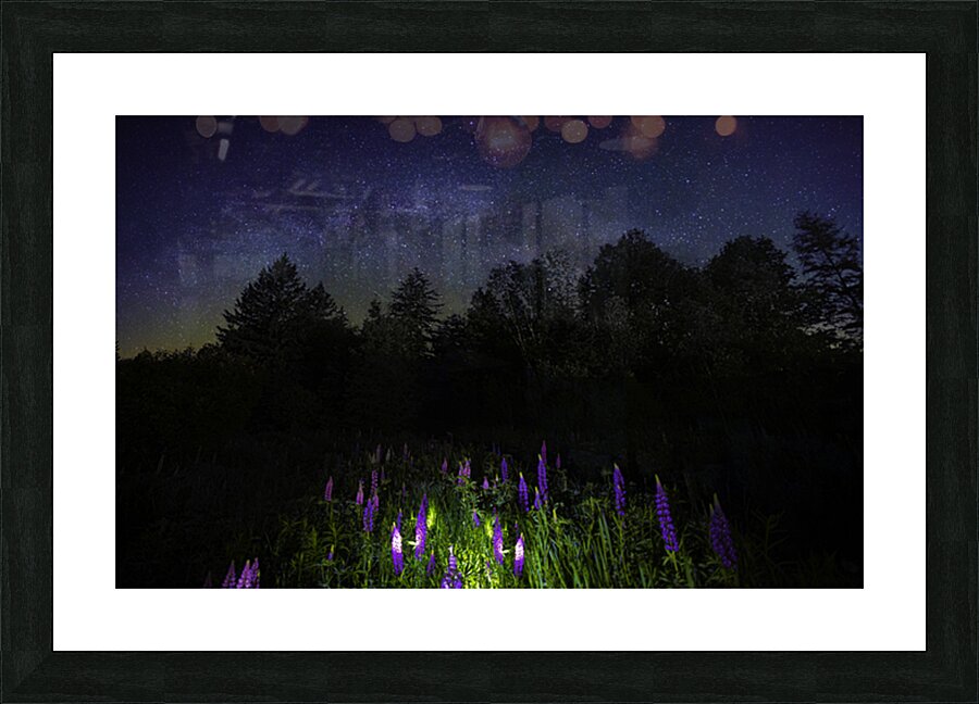 JBS 1800 Picture Frame print