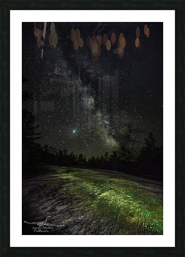 JBS 3847 Picture Frame print