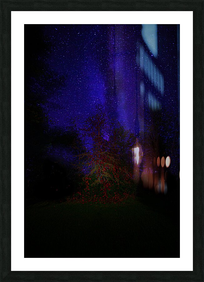 JBS 3648  Picture Frame print