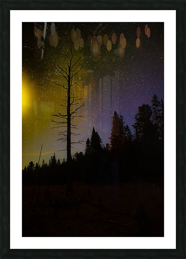 JBS 3723 Picture Frame print