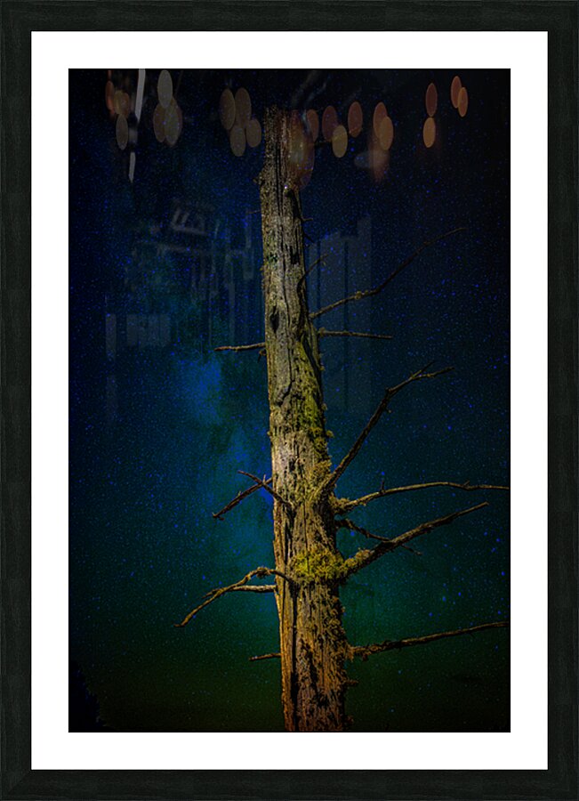 JBS 0996 Picture Frame print