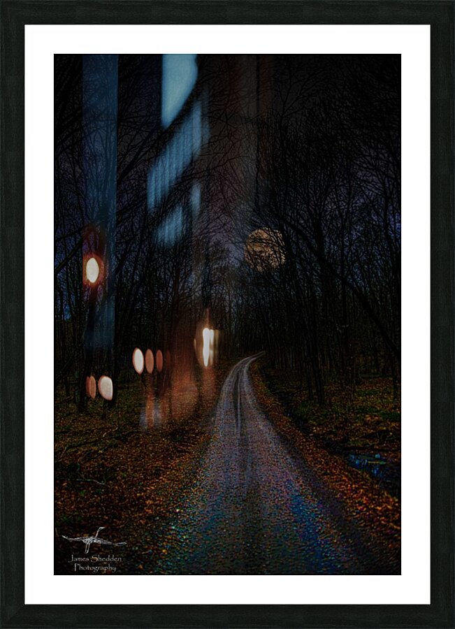 JBS 4841  Picture Frame print