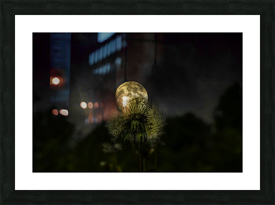 JBS 4984 1 Picture Frame print