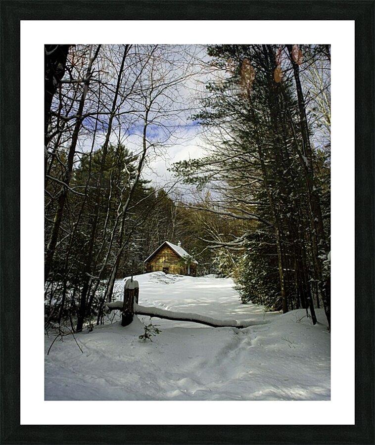 JBS 5227 16x20 Picture Frame print