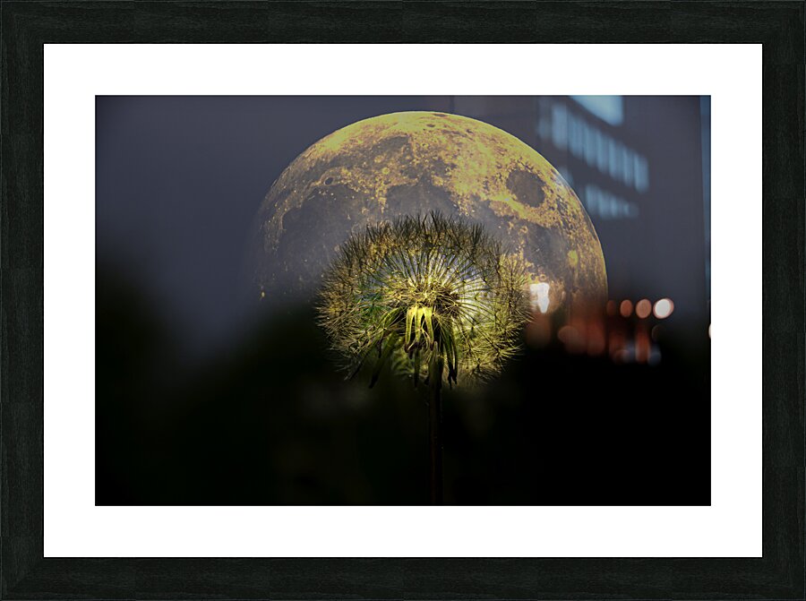 JBS 4981 2 Picture Frame print