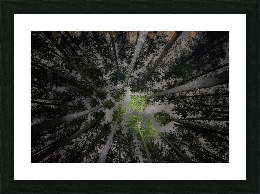 JBS 5553  Picture Frame print