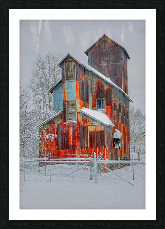 DSC 5683 Picture Frame print