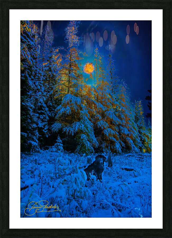 JBS 4968  Picture Frame print