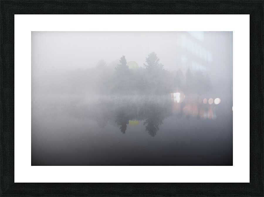 DSC 5615  Picture Frame print