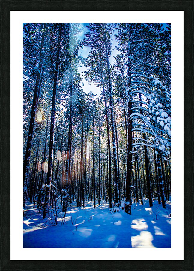 JBS 4409 Picture Frame print