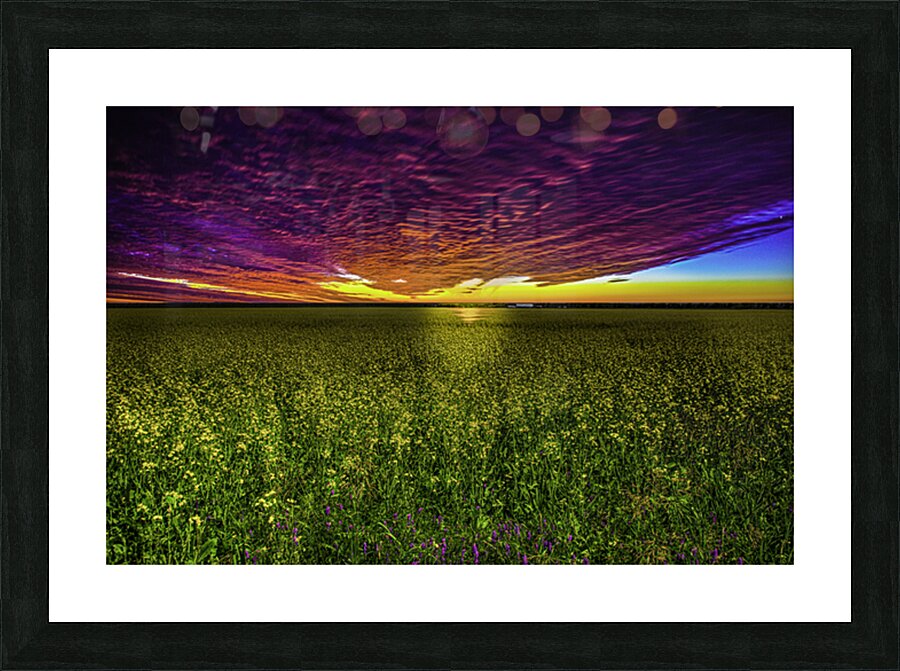 JBS 3554 Picture Frame print