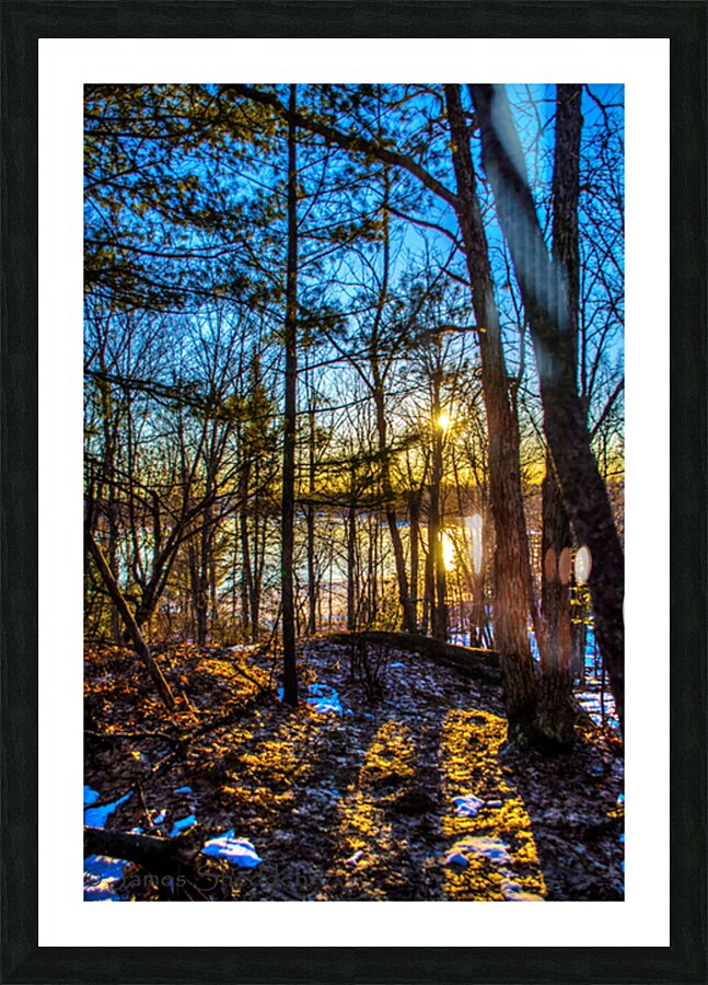 JBS 7909 Picture Frame print