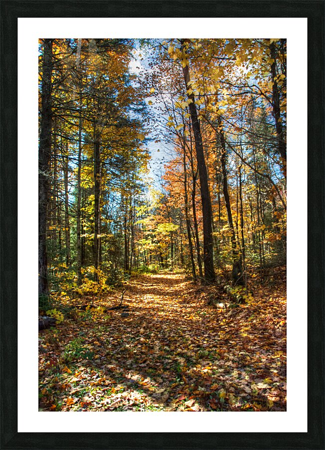 JBS 7125 Picture Frame print