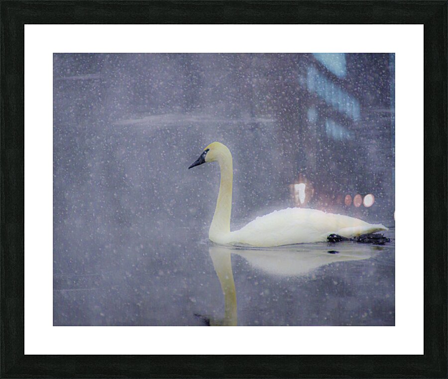 JBS 4477 Picture Frame print