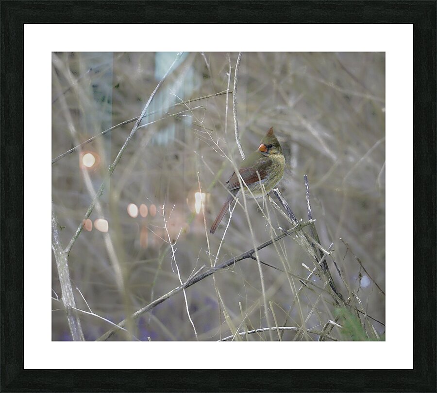 JBS 0660 Picture Frame print