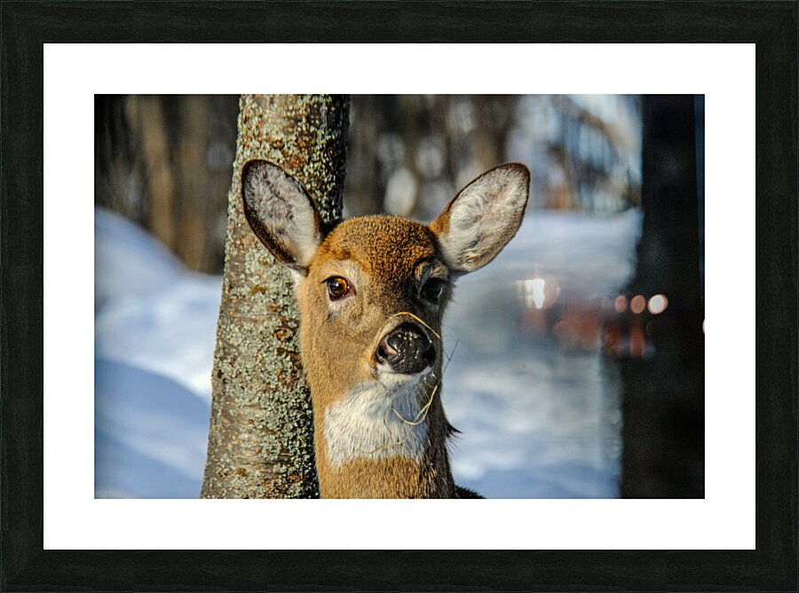  JBS4926 Picture Frame print