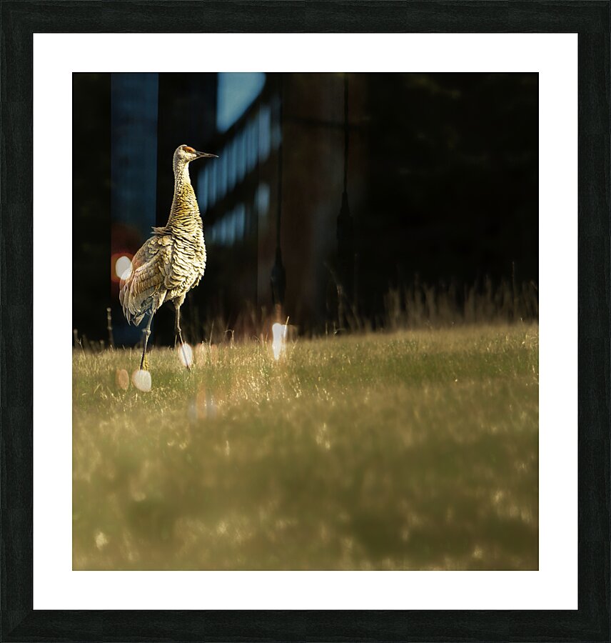 JBS 0909 Picture Frame print