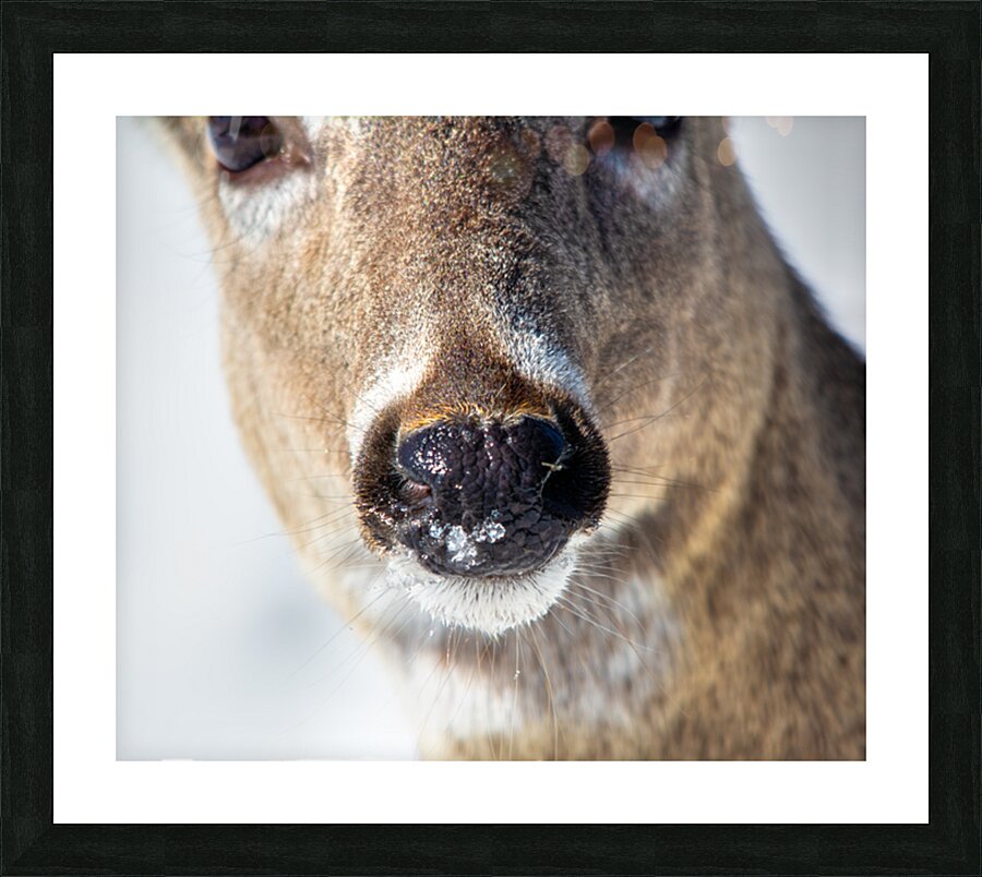 JBS 0540 Picture Frame print