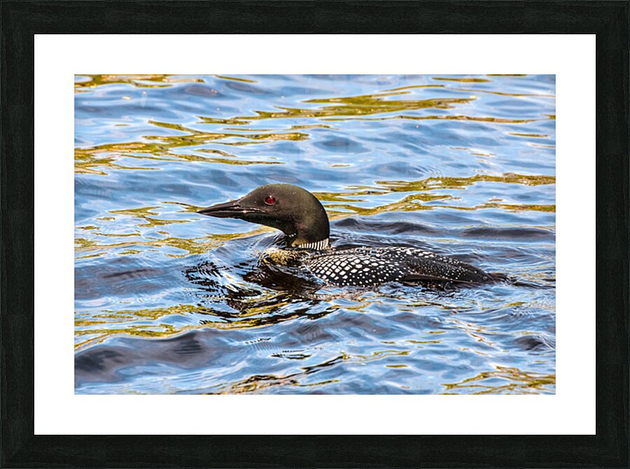 JBS 2192 Picture Frame print