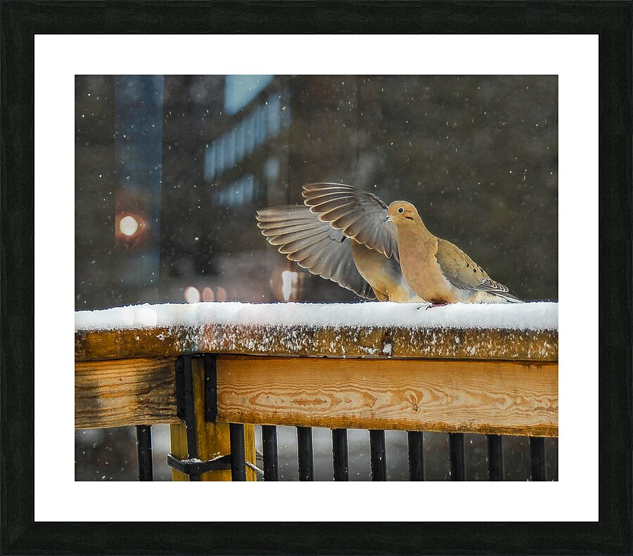  JBS9534 Picture Frame print