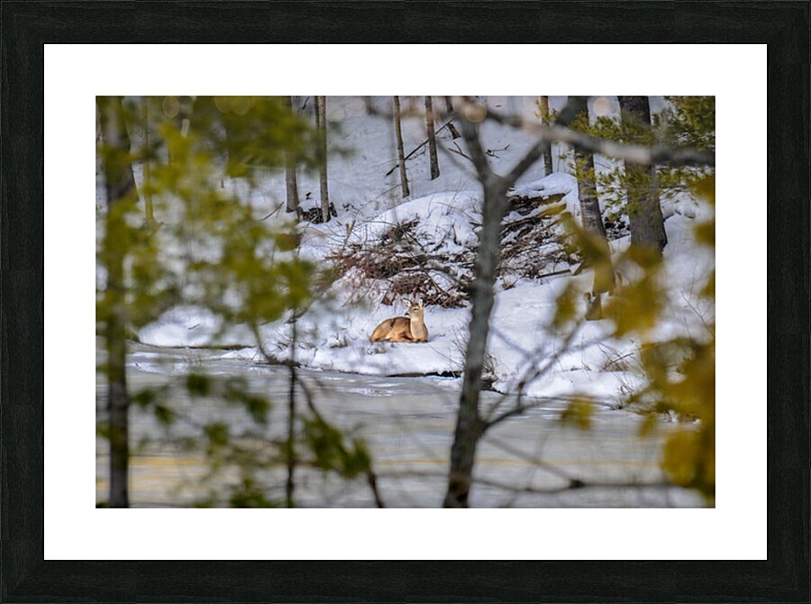  JBS5840 1 Picture Frame print