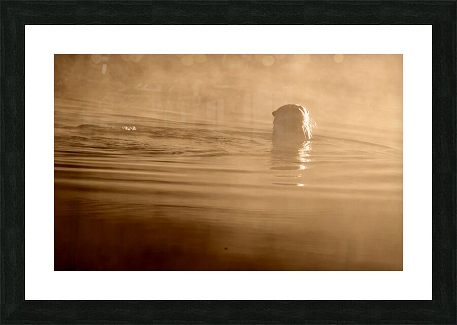 DSC 1719 Picture Frame print