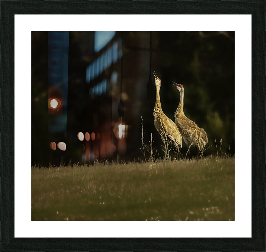 JBS 0918 Picture Frame print