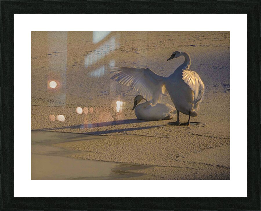 DSC 5806 2 Picture Frame print