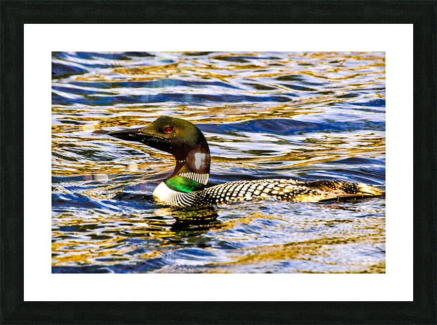 JBS 2215 Picture Frame print